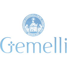 logo gemelli