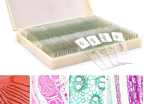 sanita_campioni sanita campioni