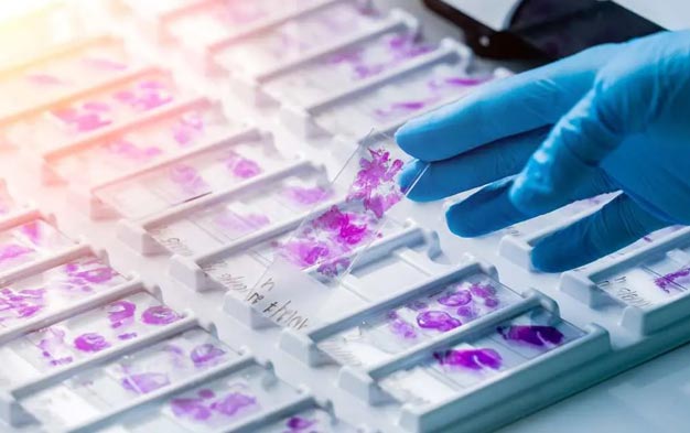 software_digitalizzazione Digitalizzazione