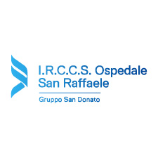 logo san raffaele